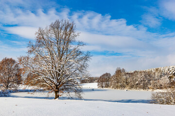 Fototapeta premium Countryside after heavy snowfall in central Europe