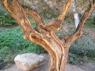 Lugares bellos y ciudades mágicas y otras cosas de interés 