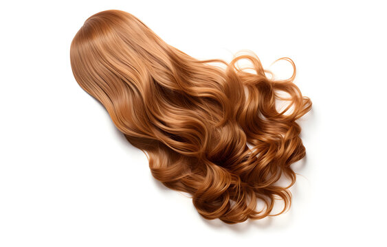 long light brown curl ponytail isolated on a white background