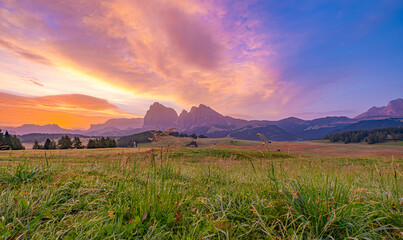 Alpe di Siusi (Seiser Alm), Europe's largest high-alpine pasture in South Tyrol, Italy. A...