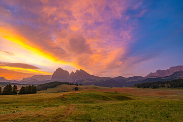 Alpe di Siusi (Seiser Alm), Europe's largest high-alpine pasture in South Tyrol, Italy. A...