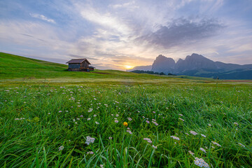 Golden hues paint the sky as the sun rises over Alpe di Siusi, casting a breathtaking glow on the...
