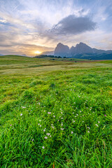 Alpe di Siusi at sunrise, green meadows, distant peaks, and a charming hut basking in the morning glow, a serene scene in the heart of the Dolomites