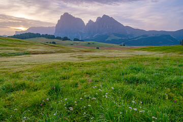 Sunrise over Alpe di Siusi, green meadows, distant peaks, and a quaint hut bathed in morning glow, a tranquil tableau in the heart of the Dolomites