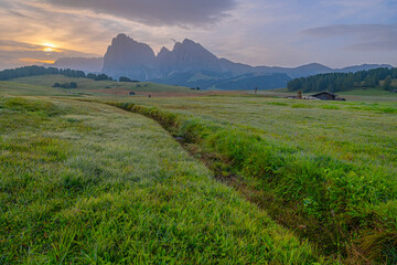 Alpe di Siusi at sunrise, green meadows, distant peaks, a breathtaking scene in the heart of the Dolomites, painted in the hues of morning light