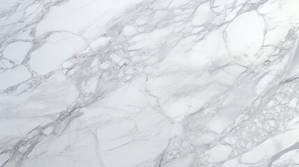 Obraz premium High-Resolution Carrara Marble Stone Texture
