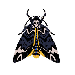 Acherontia atropos, African death head hawkmoth. Moth with skull pattern, mystical butterfly. Lepidopteran insect, macro animal. Exotic nature. Flat isolated hand drawn vector illustration on white