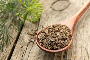 Fototapeta na wymiar Spoon with dry seeds and fresh dill on wooden table, selective focus