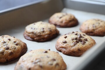 Baking pan with chocolate chip cookies, closeup