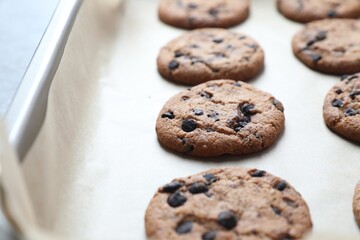 Chocolate chip cookies on parchment paper, closeup