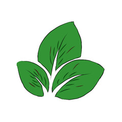 green leaf icon