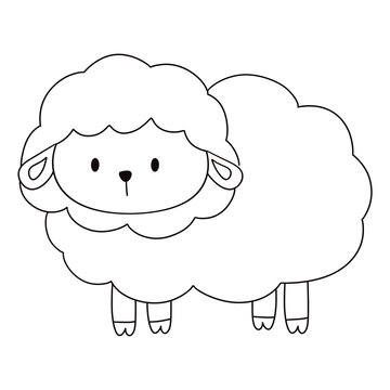line sheep too cute