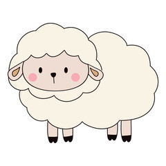 white sheep too cute