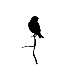 Bird silhouette stock vector illustration