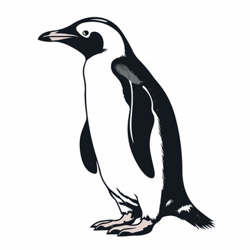 Penguin in cartoon, doodle style. Isolated 2d vector illustration in logo, icon, sketch style, Eps 10, black and white. AI Generative