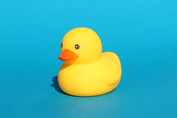  A rubber yellow duck sits on a blue background.