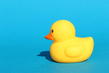 A rubber yellow duck sits on a blue background.