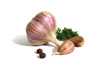 The head of garlic is on a white background.