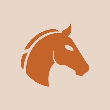Horse head vector illustration