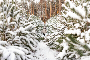 A little boy runs along a snowy path among small pine trees..