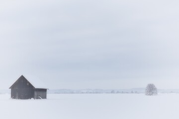 Scheune auf dem Feld bei Schnee - Bedeckter Schneehimmel