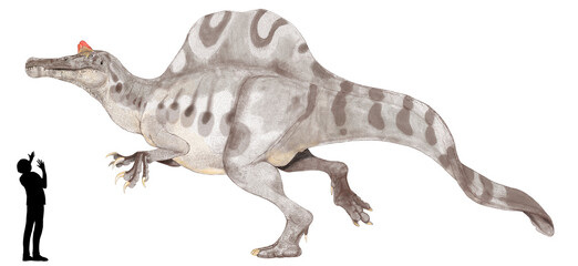 オキサライア。スピノサウルス亜科の大型獣脚類　ブラジルの後期白亜紀の地層から発見された頭蓋骨からスピノサウルスに匹敵するほどの大きさであると推定されている。魚食性であり、泳ぎが達者であったと推定されている。手描きの復元想像図。生成AIではない。 - obrazy, fototapety, plakaty