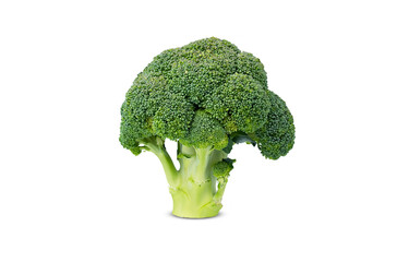 Broccoli isolated on white background. Close-up.