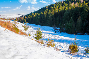 mountainous countryside landscape in winter. forested hills and snow covered meadows on a sunny day...