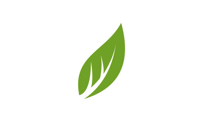 green leaf icon