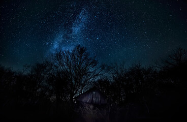 Fototapeta premium night photo with the night sky with the milky way. Old wooden barn among trees and the milky way. 