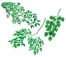 Tree branches set of three