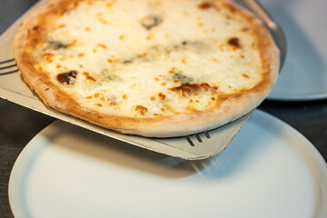 real Neapolitan Italian pizza called margherita pizza just out of the oven
