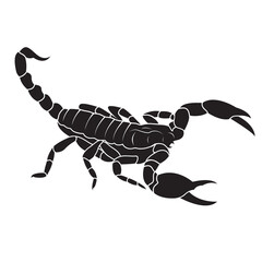 Scorpion design isolated on transparent background. Insects. - obrazy, fototapety, plakaty