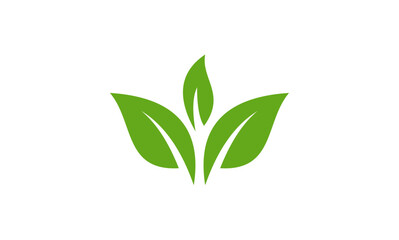 green leaves isolated on white background