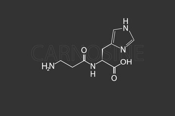 Carnosine molecular skeletal chemical formula
