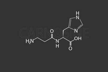 Carnosine molecular skeletal chemical formula