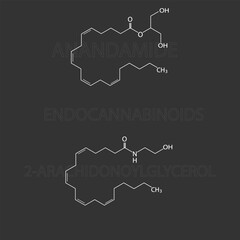 Obraz premium Endocannabinoids molecular skeletal chemical formula