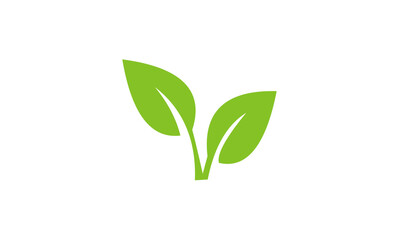 green leaf icon