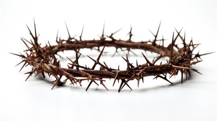 crown of thorns isolated on white background