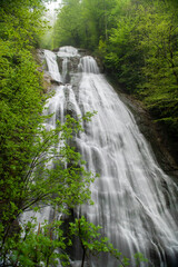 View of the waterfall through the green forest. Large waterfall flowing through dense green forest....