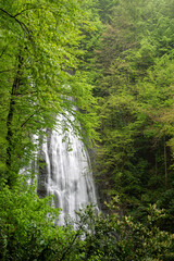 View of the waterfall through the green forest. Large waterfall flowing through dense green forest. Guzeldere Waterfall. 