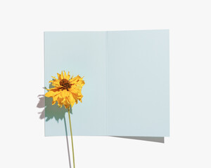 Minimal autumn floral flat lay with yellow dried flowers cosmos and empty paper card for text, white background, shadow from sunlight, Autumnal mock up card, top view, pastel color, copy space