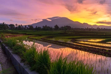 Gordijnen Beautiful morning view indonesia Panorama Landscape paddy fields with beauty color and sky natural light © RahmadHimawan