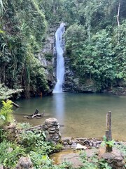 Young woman swimming in a beautiful waterfall in Port Barton, Philippines. High quality photo