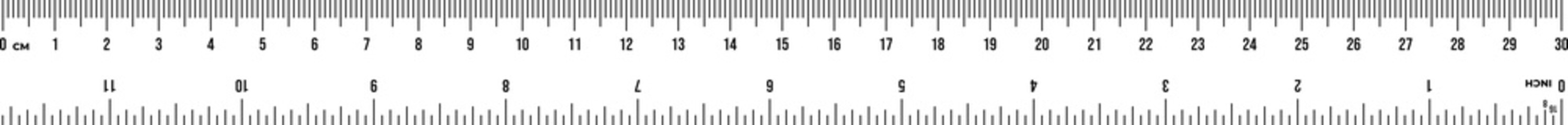 Ruler scale 30 cm and 12 inches. Centimeter and inch scale for measuring