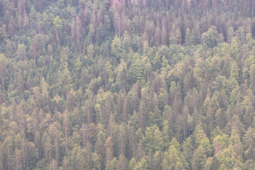 Beautiful landscape in the mountains 
 Creux du van