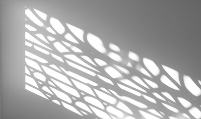 white wall light leaves shadows background , png , transparent background