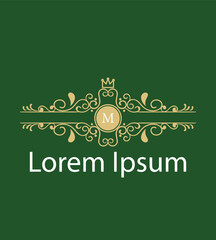 Modern M Letter Initial Logo Design Template Vector