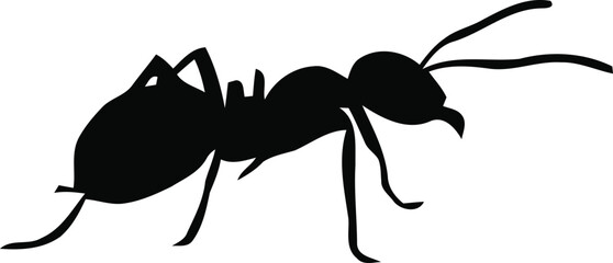 Animal icon vector design