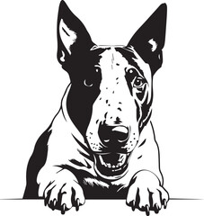 illustration of English bull terrier dog